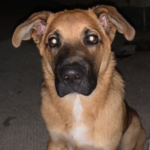 Meet your Posher, Jack